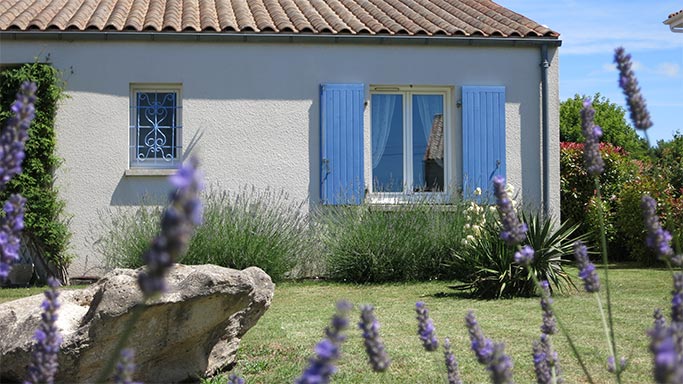 Lavender Cottage Gite 